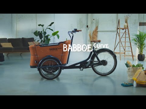 Triporteur Babboe Curve - Transport de 4 enfants - Boîte Nexus 7 vitesses - Pneus Big Apple_5