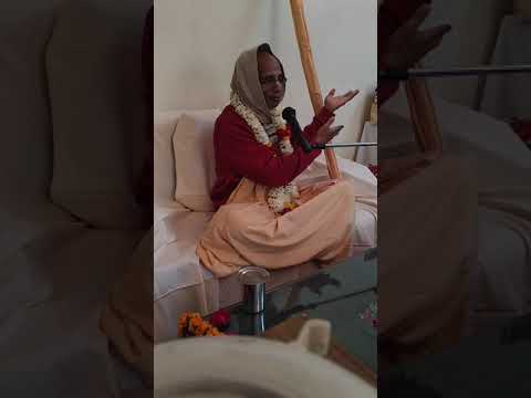 HH Haladhar Swami - Devotion in Grihastha Ashram Part 2 (Hindi)