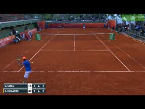 Gastao Elias vs Mesaros Elias Incredible Reaction
