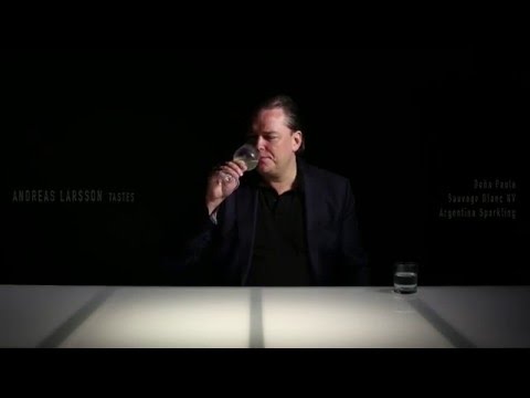 Doña Paula - Sauvage Blanc NV - Argentina Sparkling