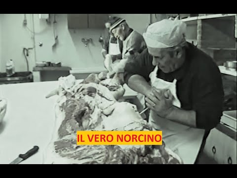 , title : 'IL VERO NORCINO'