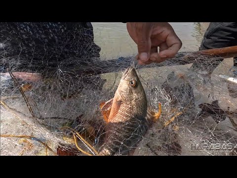 EP841-P1 - Panlalambat ng Isda sa Ilog | Occ. Mindoro