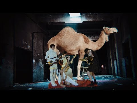 TRIP TO CAIRO | Dirty Fingers [Official Music Video]