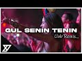 Bora Duran Gül Senin Tenin Y Emre Music Club Remix