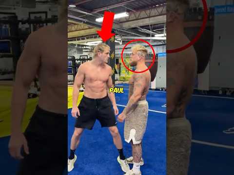 Los Paul Arreglan Sus Peleas! 💀🥊