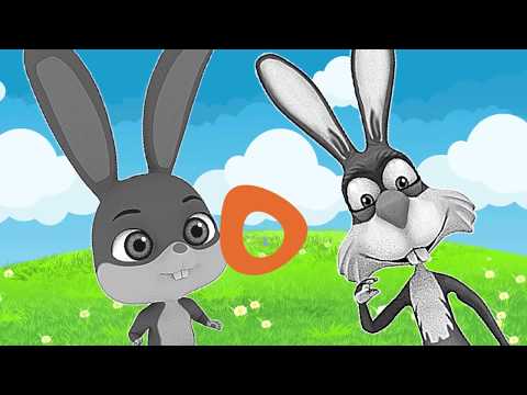 Giggo & ZikZik Video