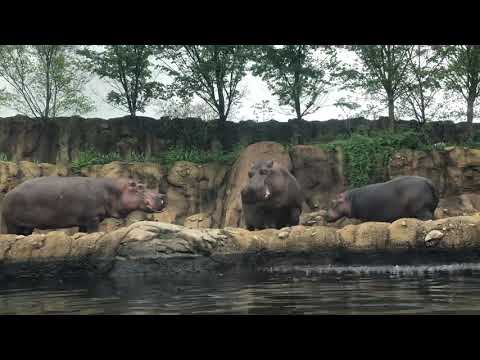 Pregnancy Hormones Might be Kicking In.