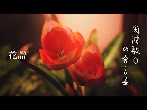 KAF #158 -  Voiceless password [Music Video]