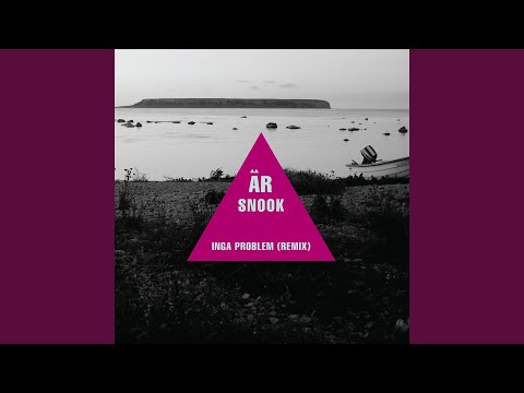 Inga problem (Remix)