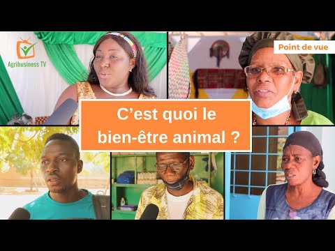 Point de vue: C’est quoi le bien-être animal ?