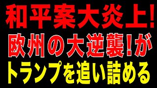 2025/11/28　和平案大炎上！ 欧州諜報機関と共和党がトランプを追い詰める