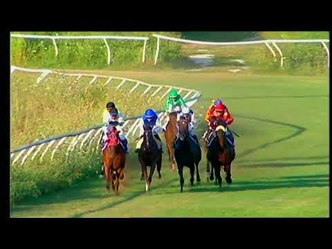 Napoli Galoppo 29/07/2022 - 5ª corsa