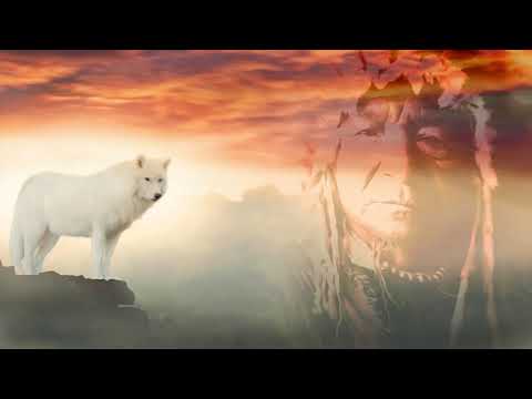 Honoring Native American Flute Music *Bilateral - Heal PTSD, Anxiety, Stress, - EMDR, Brainspotting