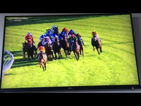 2016 Doncaster Handicap - Winx !