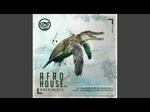 Never Been Kind (Cee ElAssaad Remix)