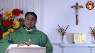 Download Lagu Daily Holy Mass and Holy Rosary - Monday 23rd November 2020- Fr Rojan George, V.C Thumbnail