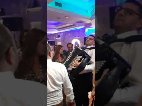 Veselje kod Dejana Kostica-Bojan Gula svira za Dejana Kostica iz srca