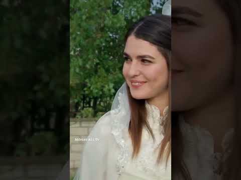 Da Dare Morchal #shortvideo #viral #best #shorts #youtube