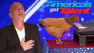 Chicken Plays America The Beautiful on The Piano