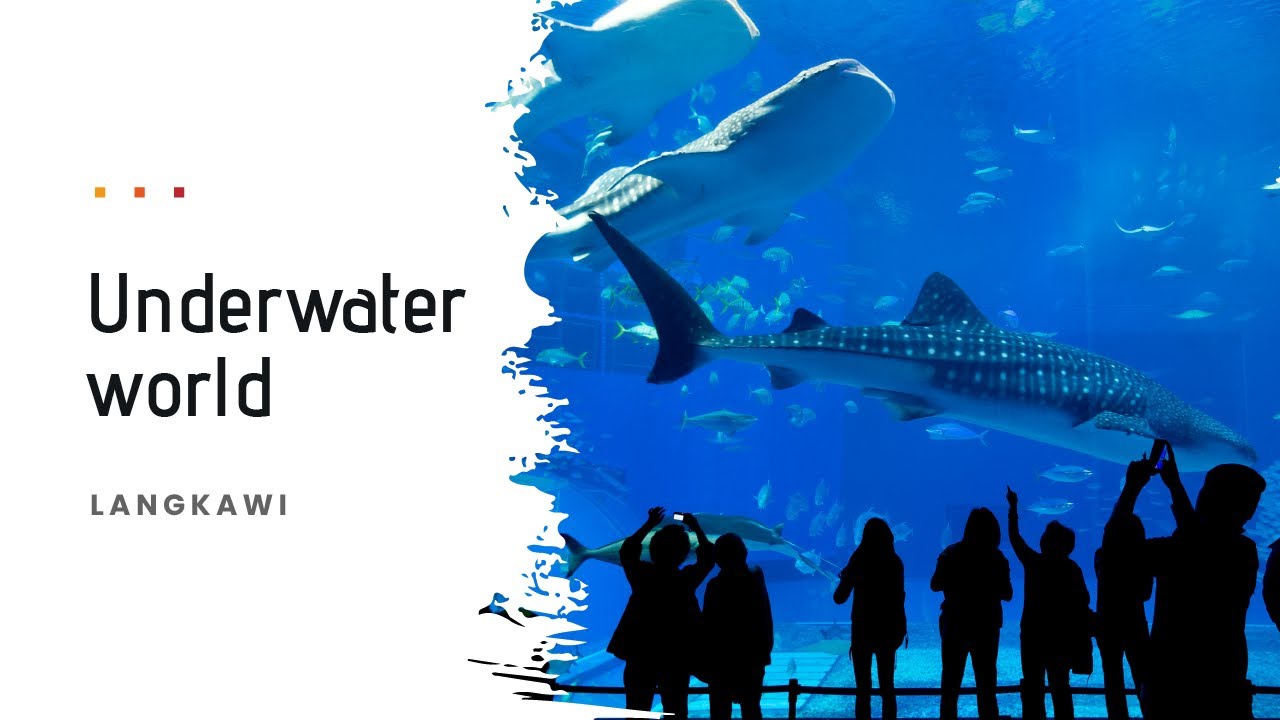 Explore Langkawi’s Underwater World with its vibrant aquariums and fascinating sea life displays!