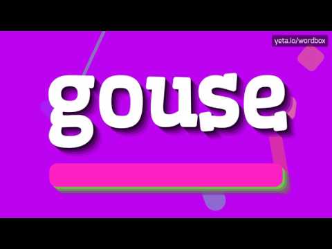 GOUSE - HOW TO PRONOUNCE IT!?