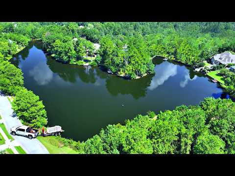 Adding 5,000 Fish to the New Backyard Pond!
