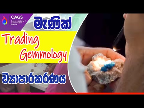 💎Day 2 of Weekday Trading Gemmology – Completed!