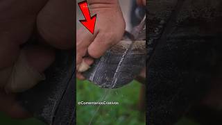 Fica incrível, o que você achou? #curiosidades #viral #shorts