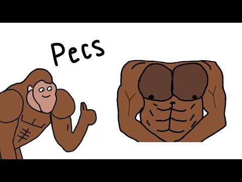 Apesthetic Type