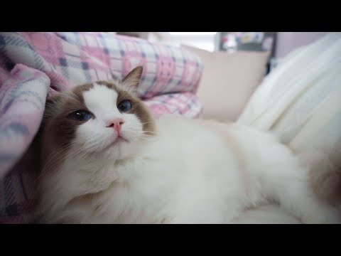 아이콘