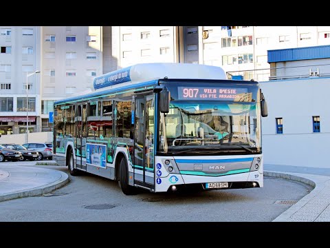 3558 STCP - MAN NL313F CNG (A21) Caetanobus CityGold CBN070g - Linha / Line 907