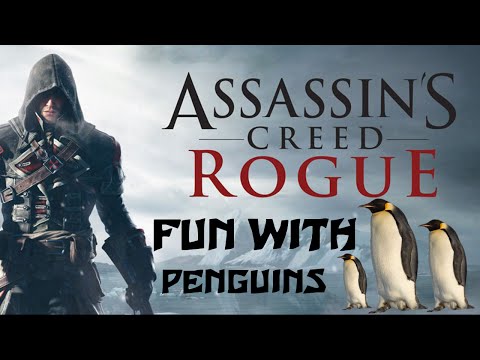 Fun with great auks (AC Rogue)