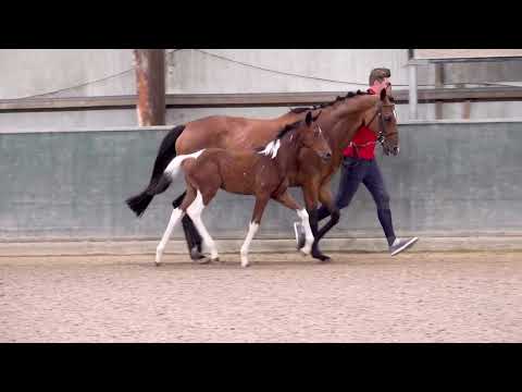 COL DE LA MADELEINE WW