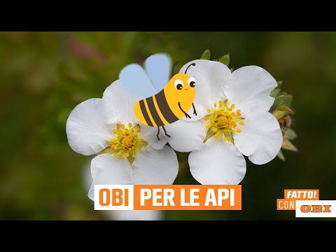 , title : 'OBI per le api'