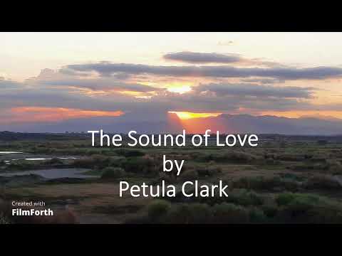 Petula Clark - The Sound of Love