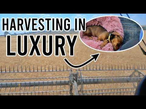 Brads Got A Harvest Buddy! | Farming in Australia | Harvest 2023 | Vlog 227