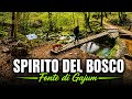 FONTE DI GAJUM SPIRITO DEL BOSCO FINO A TERZ ALPE CON GIRO AD ANELLO