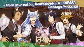 Cats Everywhere | NekoPara Catboys Paradise