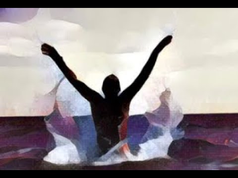 O Salto - Silvestre Kuhlmann
