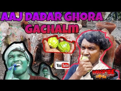 Aaj Dadar Ghora Gachalm ||  Aaj Amurd Khaye Bhiye Ka Ghar Me|| #amuedlover #kumardhubivinesvlog