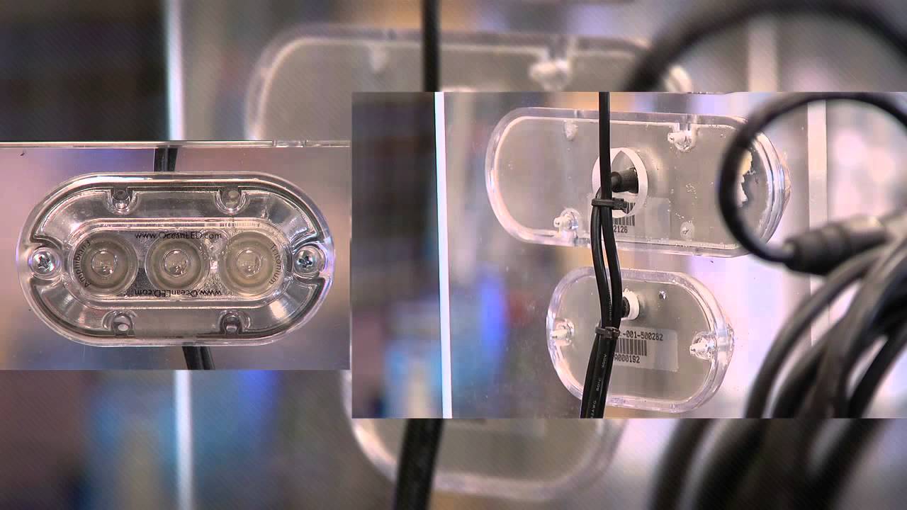 YachtLights.com LED Lighting for your Boat Segment featured on Florida Sports Fishing TV