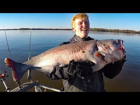 How to catch catfish in a river - fishing for big catfish, bait, rods, reels, rigs