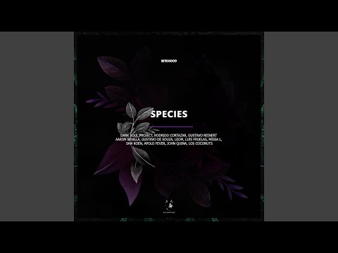 Sonic (Original Mix)