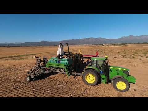 No-till planting in the Western Cape