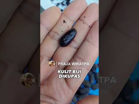 How to make your own chocolate from cocoa beans #howtomake #cocoa #chocolate