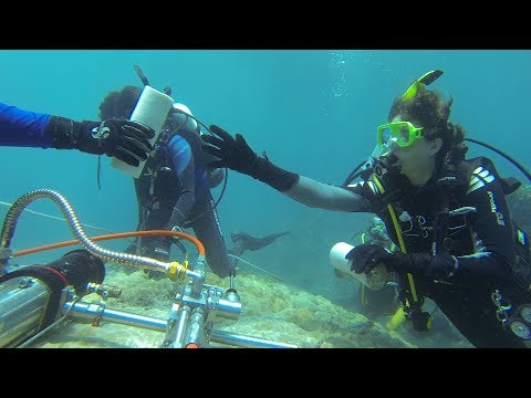 What Do Corals Tell Us About Changing Climates? with Paleoceanographer Nathalie Goodkin