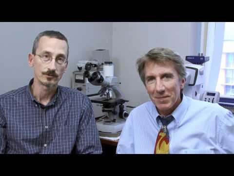 Transgenic Core — Charles O'Brien, Ph.D. and Joseph J. Goellner, M.S.