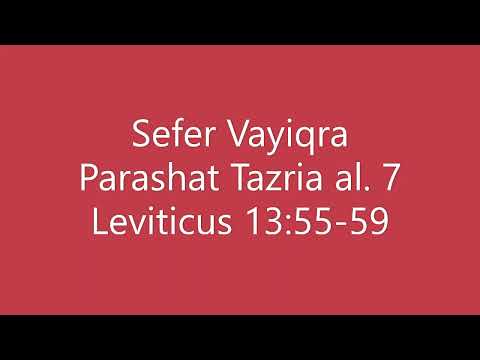 Torah Chanting - Sefer Shemot - Parashat (Portion) Tazria al. 7