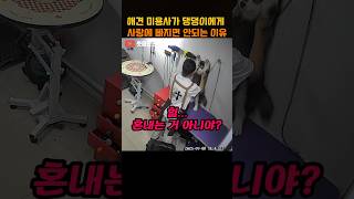 유튜브 썸네일