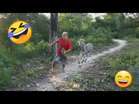 150 Top Funniest Videos Of The Month || Try Not To Laugh Impossible
